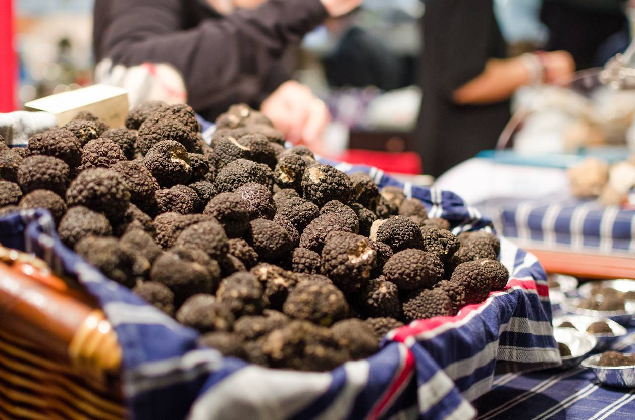 différentes variétés de truffes